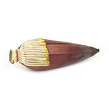 Banana Flower