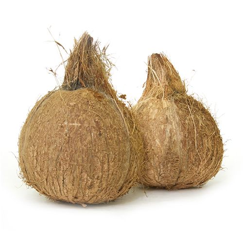 Coconut - Organically Grown