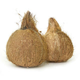 Coconut - Organically Grown
