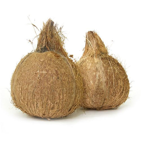 Coconut - Organically Grown